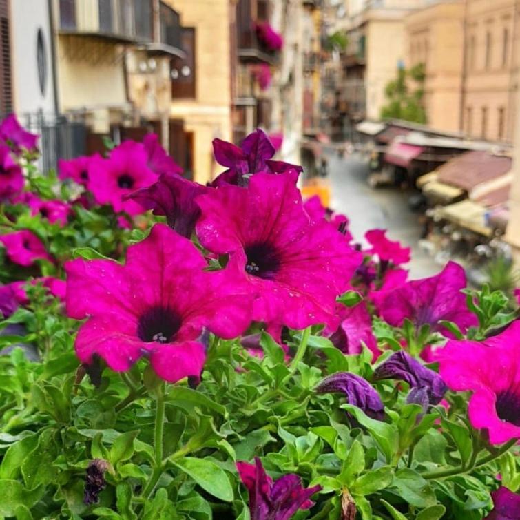 Il Rosone Luxury B&B Palermo Dış mekan fotoğraf